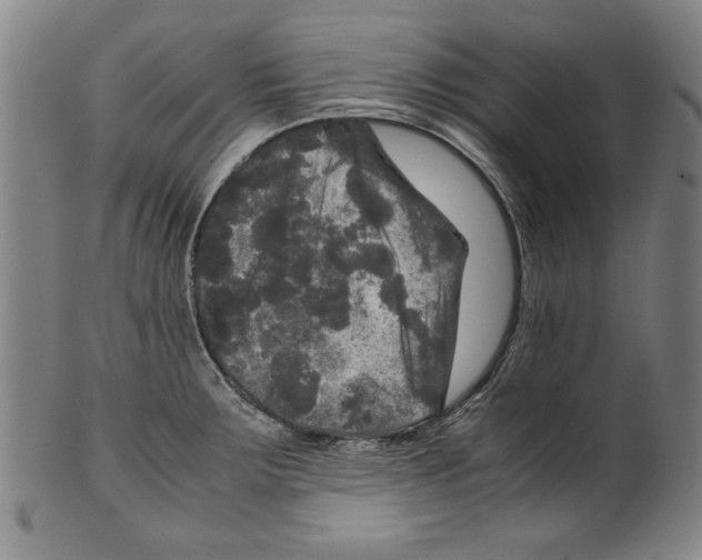 X0000099411283200806060923