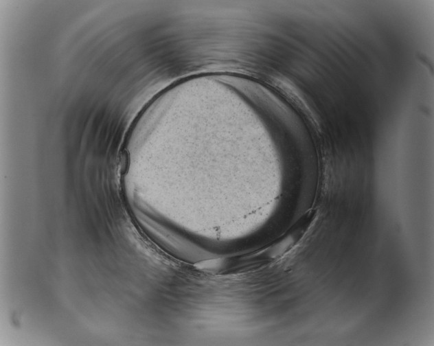 X0000099411284200806060923