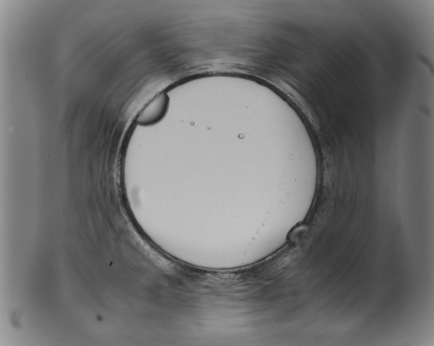 X0000099411285200806060923