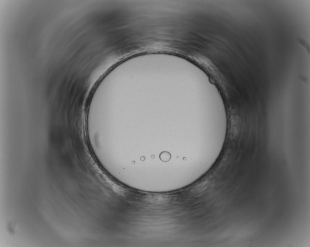 X0000099411286200806060923