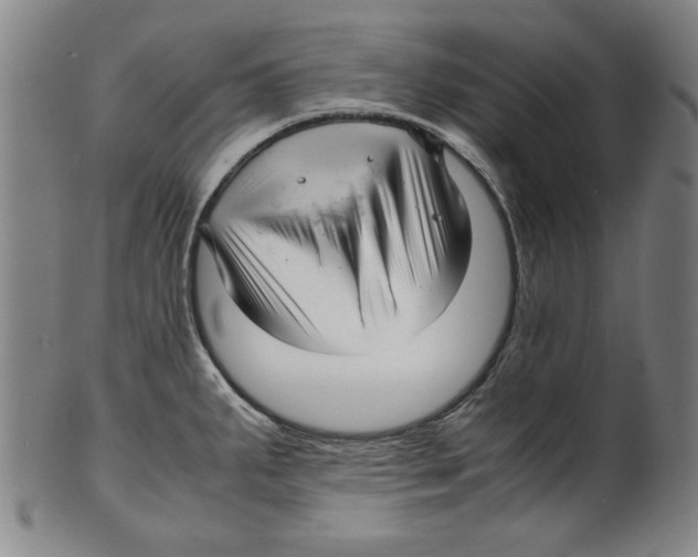 X0000099411287200806060923