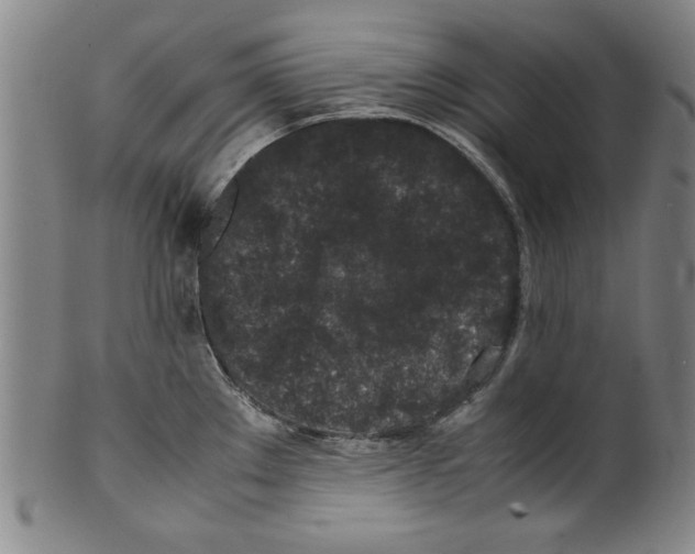 X0000099411289200806060923