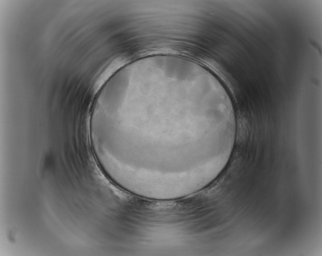 X0000099411290200806060923