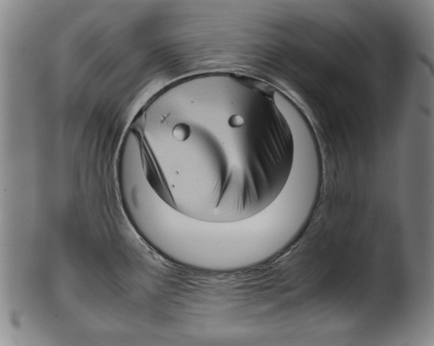 X0000099411291200806060923