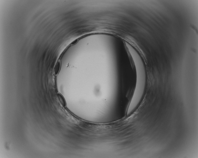 X0000099411292200806060923