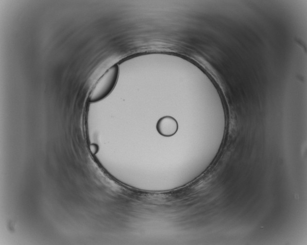 X0000099411293200806060923