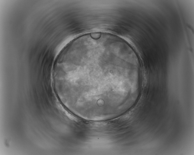 X0000099411294200806060923