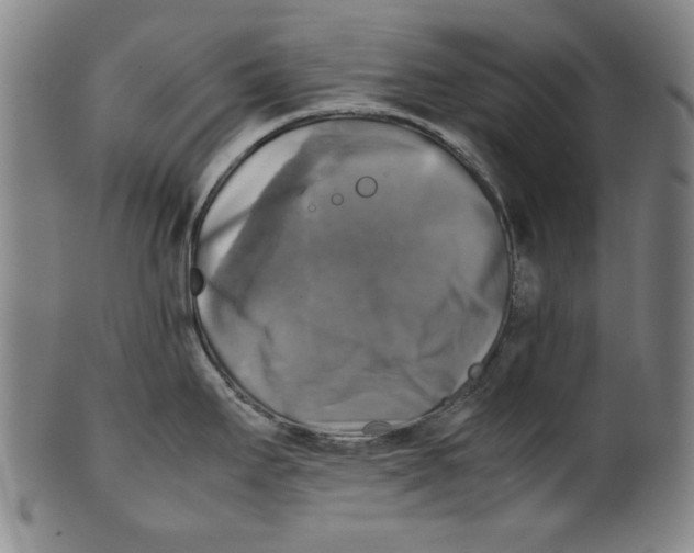 X0000099411295200806060923