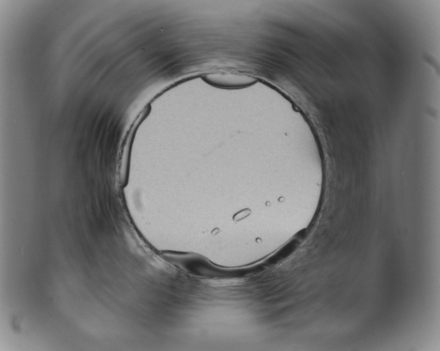 X0000099411296200806060923