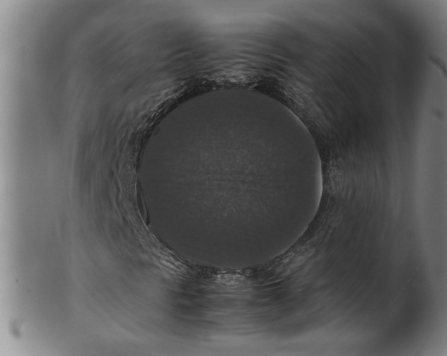 X0000099411297200806060922