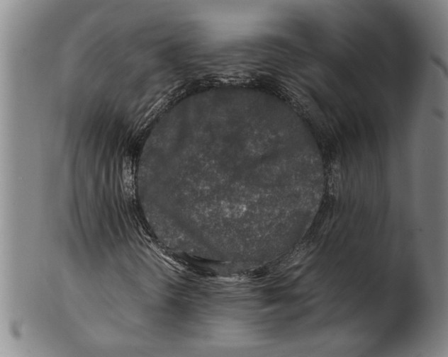 X0000099411298200806060922