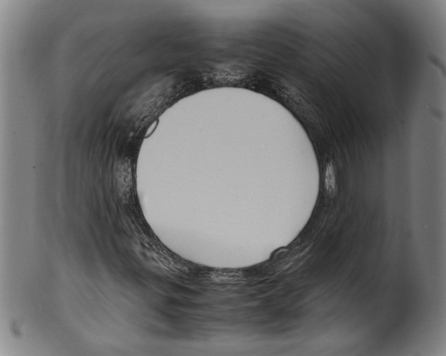 X0000099411299200806060922