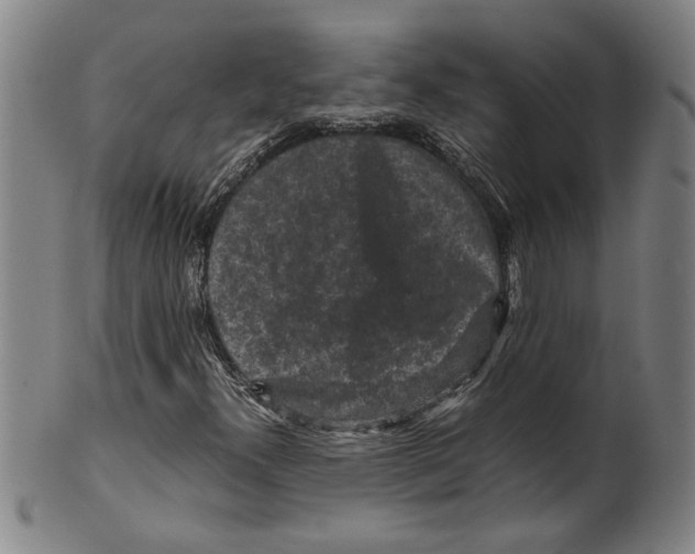 X0000099411300200806060922