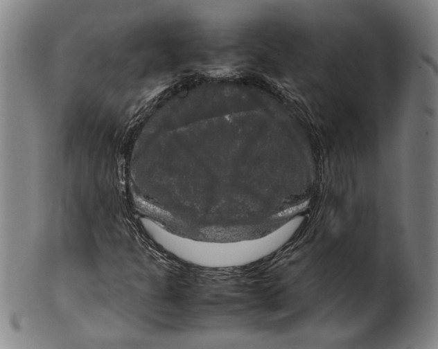 X0000099411301200806060922