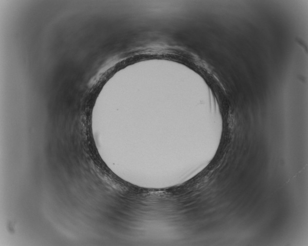 X0000099411304200806060922