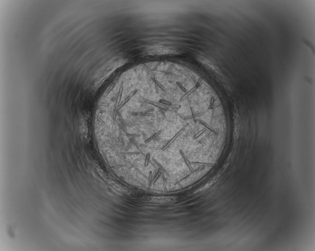 X0000099411305200806060922