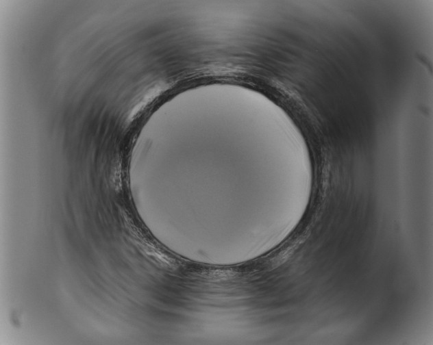 X0000099411306200806060922