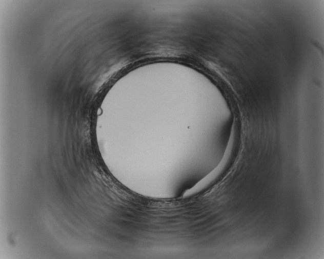 X0000099411307200806060922