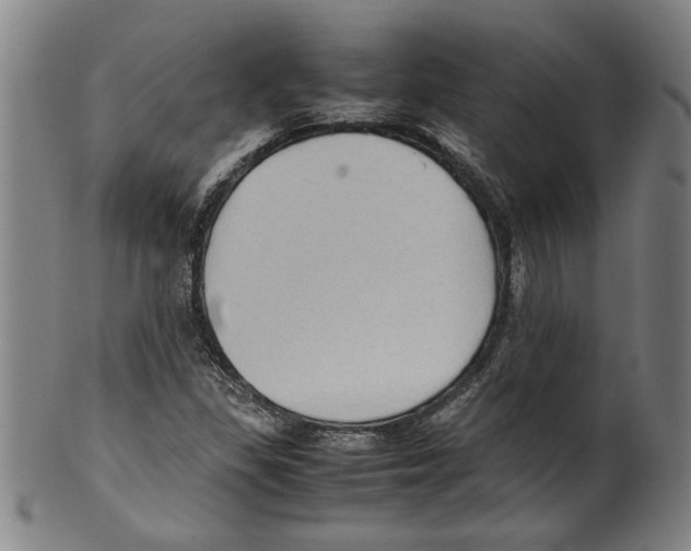 X0000099411309200806060922