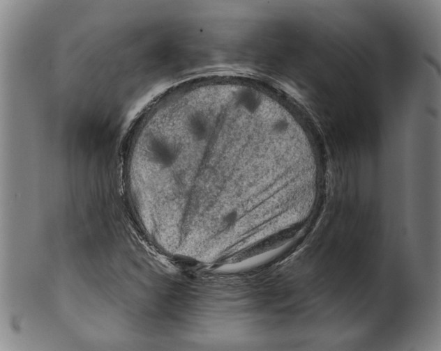 X0000099411310200806060922