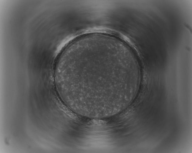 X0000099411312200806060922