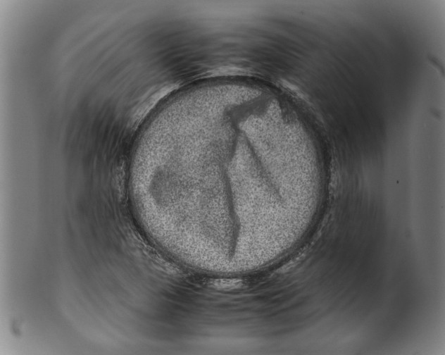 X0000099411313200806060922