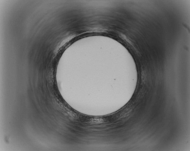 X0000099411315200806060922