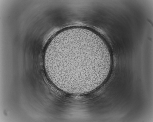 X0000099411318200806060922