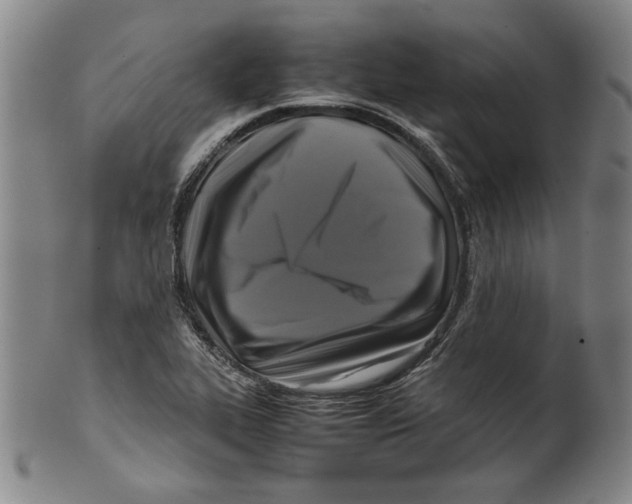 X0000099411319200806060922