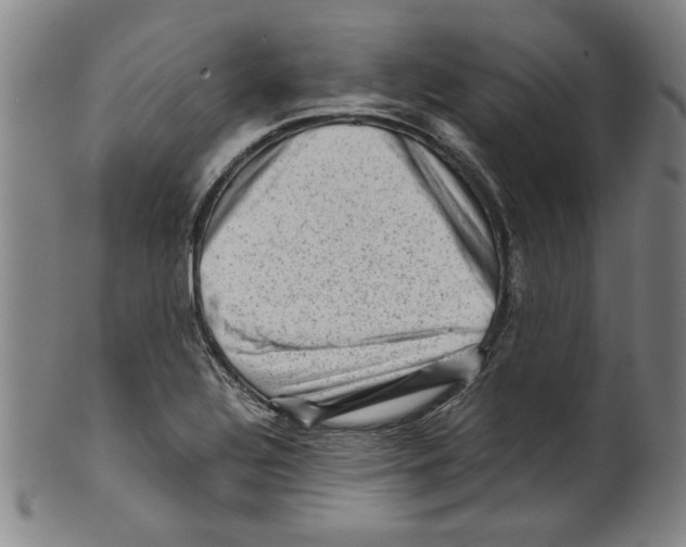 X0000099411320200806060922