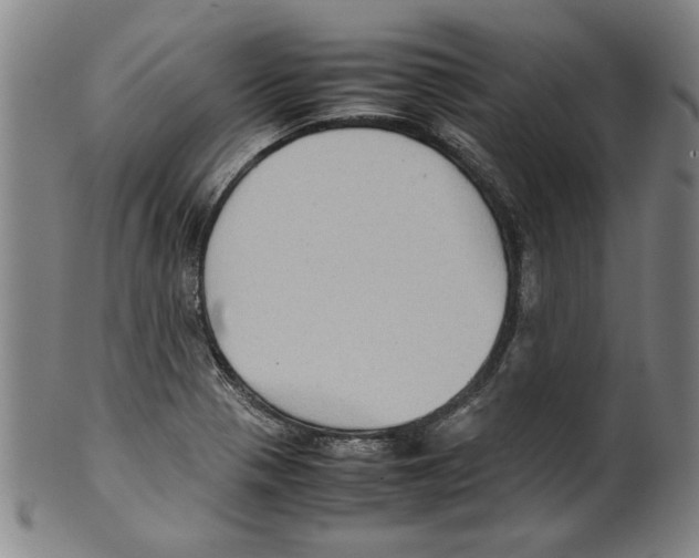 X0000099411321200806060922