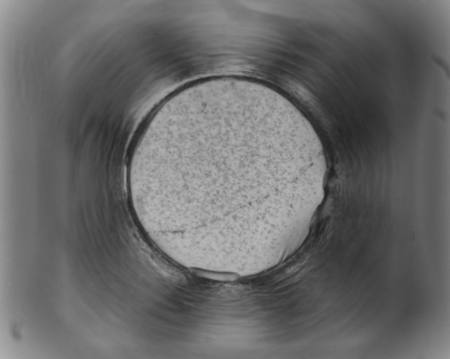 X0000099411324200806060922