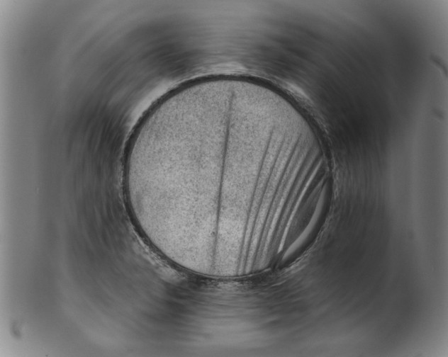 X0000099411326200806060922