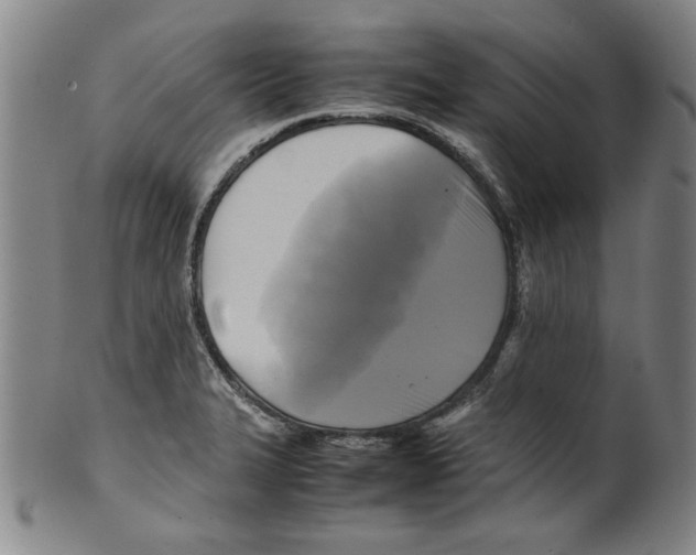 X0000099411327200806060922