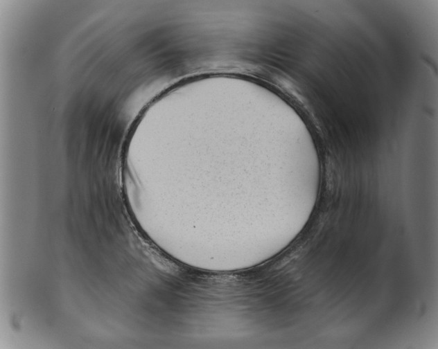 X0000099411328200806060922