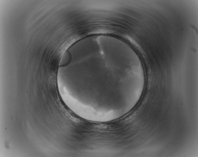 X0000099411329200806060922