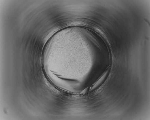 X0000099411330200806060922