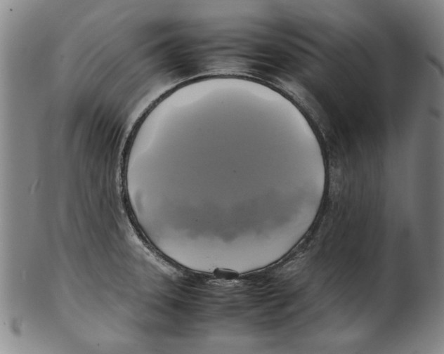 X0000099411331200806060922