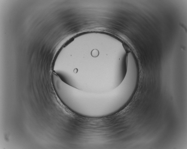 X0000099411332200806060922