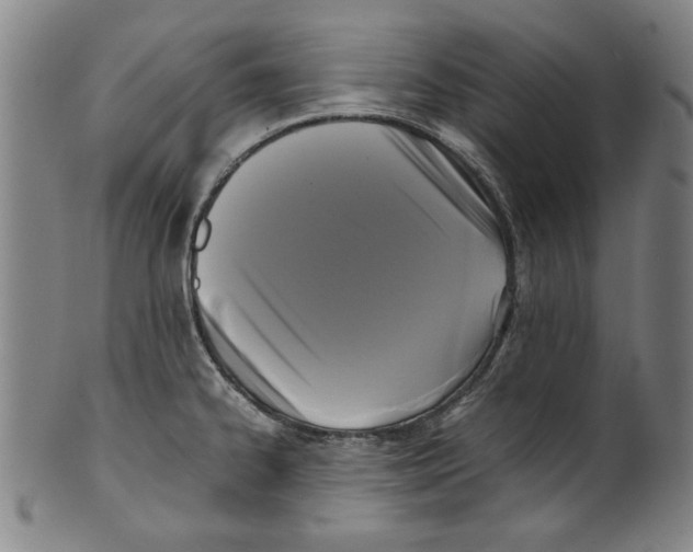 X0000099411334200806060922