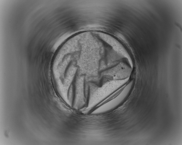 X0000099411336200806060922