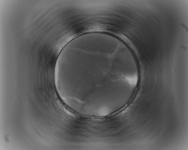 X0000099411337200806060922