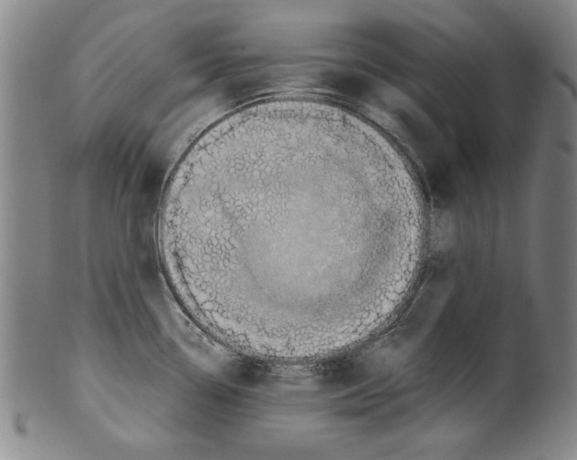 X0000099411338200806060922