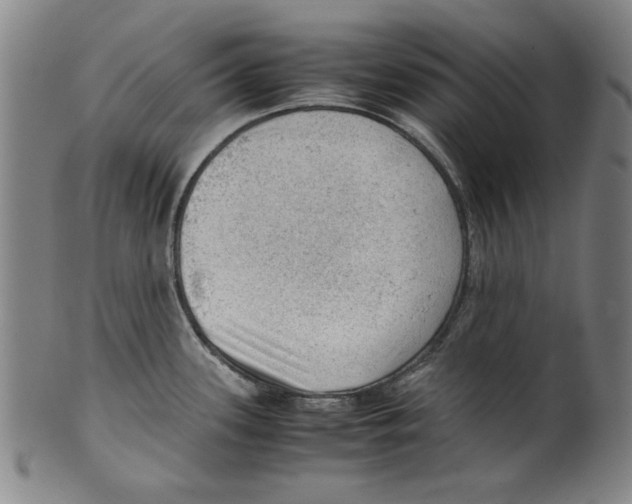 X0000099411339200806060922