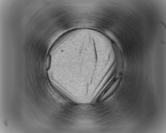 X0000099411340200806060922