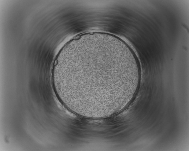 X0000099411341200806060923