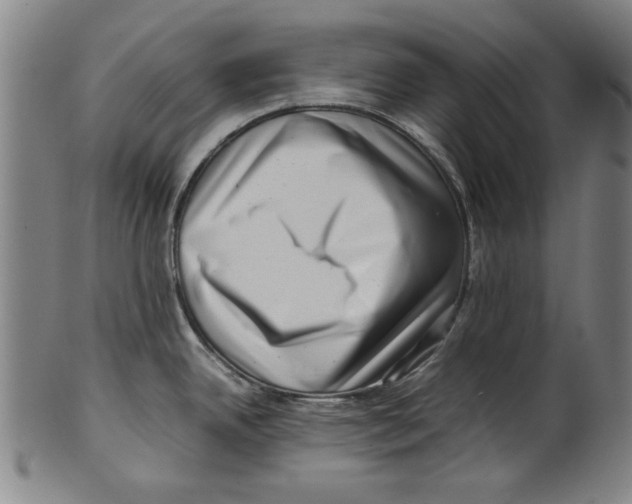 X0000099411342200806060923