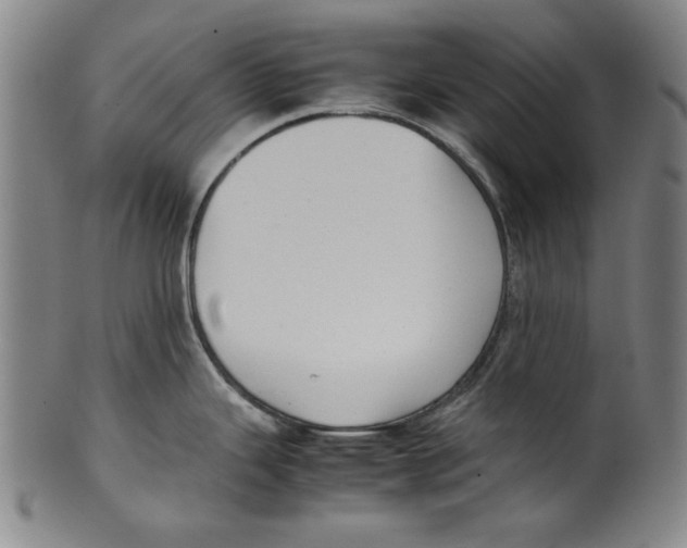 X0000099411343200806060923