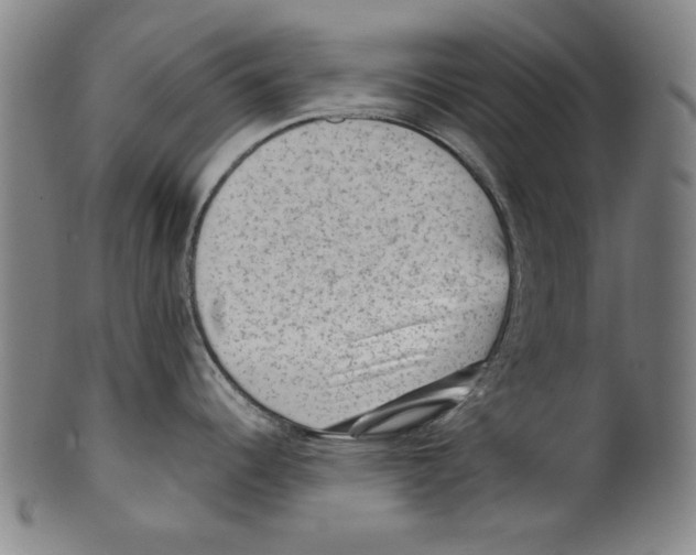 X0000099411344200806060923