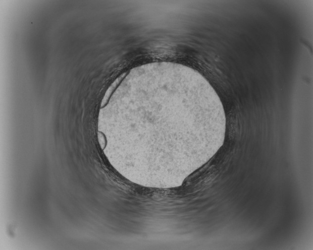 X0000099411345200806060922